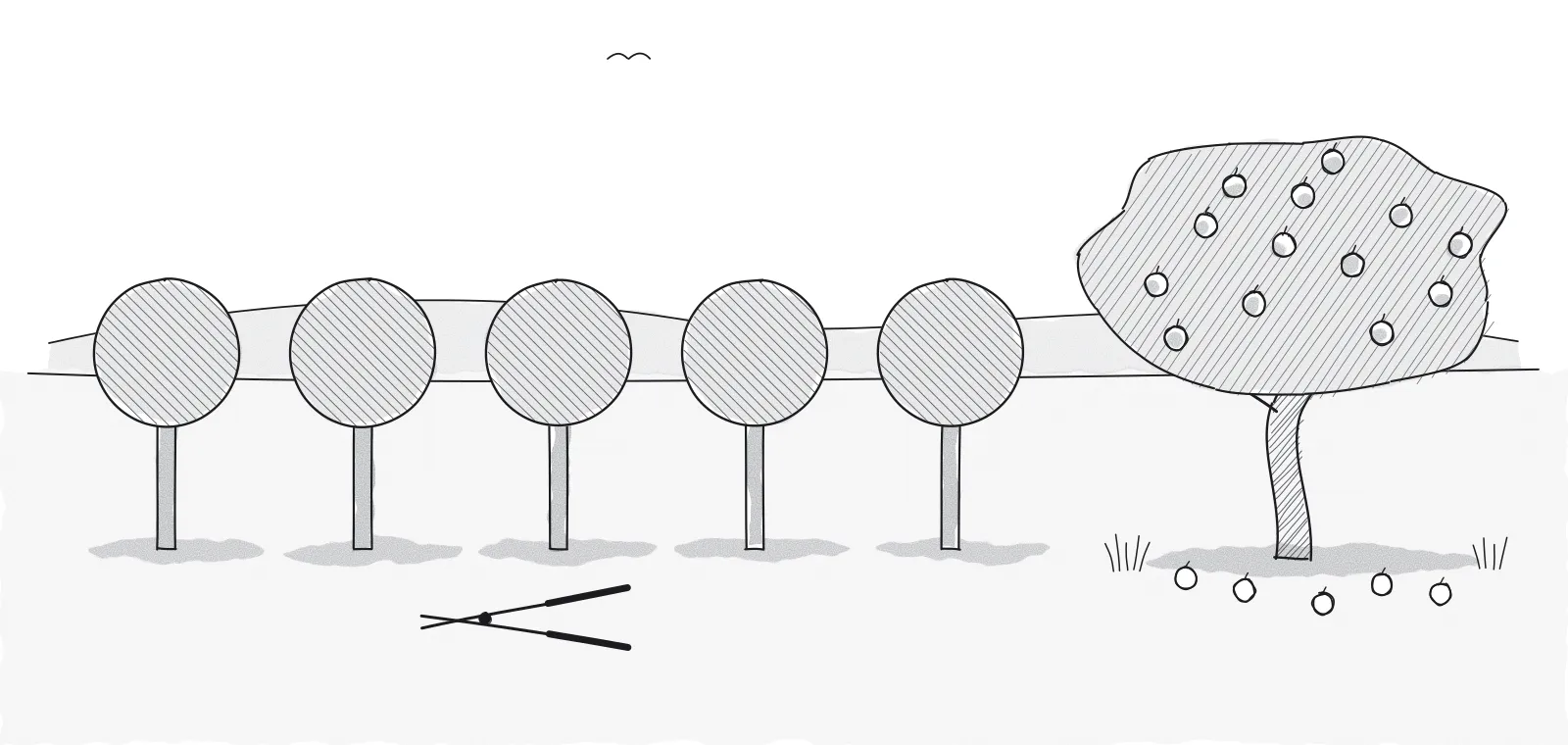 Ink cartoon of a row of identical, perfectly round clipped trees next to one crooked, bushy tree full of apples, with hedge shears lying on the grass.